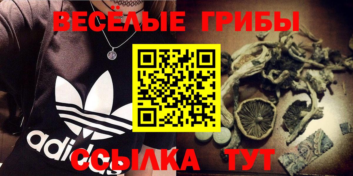 Псилоцибиновые грибы Cubensis Брянск
