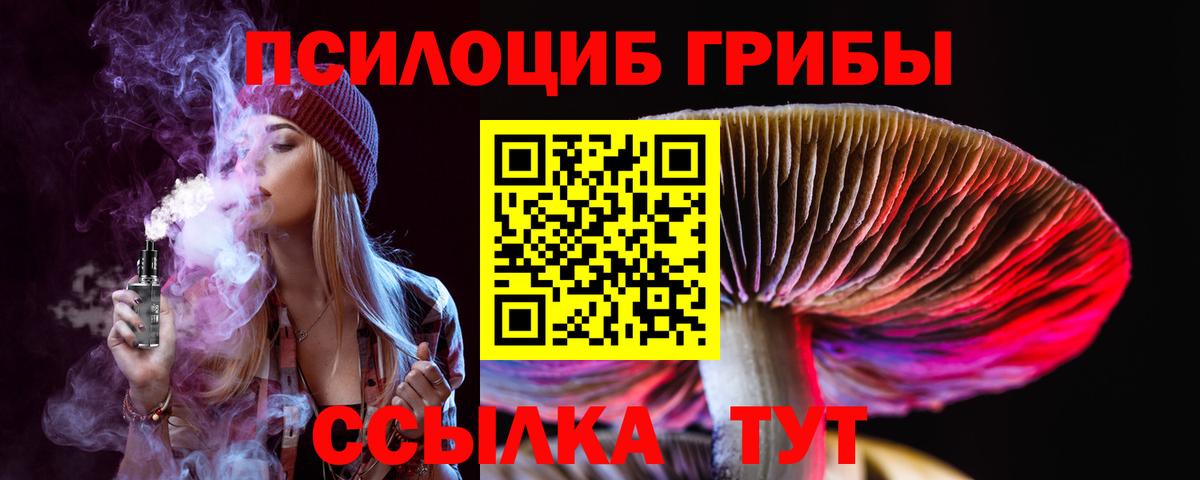 Галлюциногенные грибы MAGIC MUSHROOMS  Вход с VPN  Брянск 